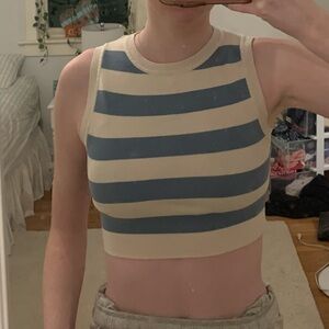 Zara blue and white striped knit top